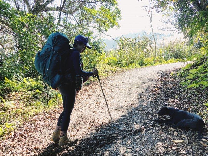 lowa美军军靴,美国特种部队穿的衣服
