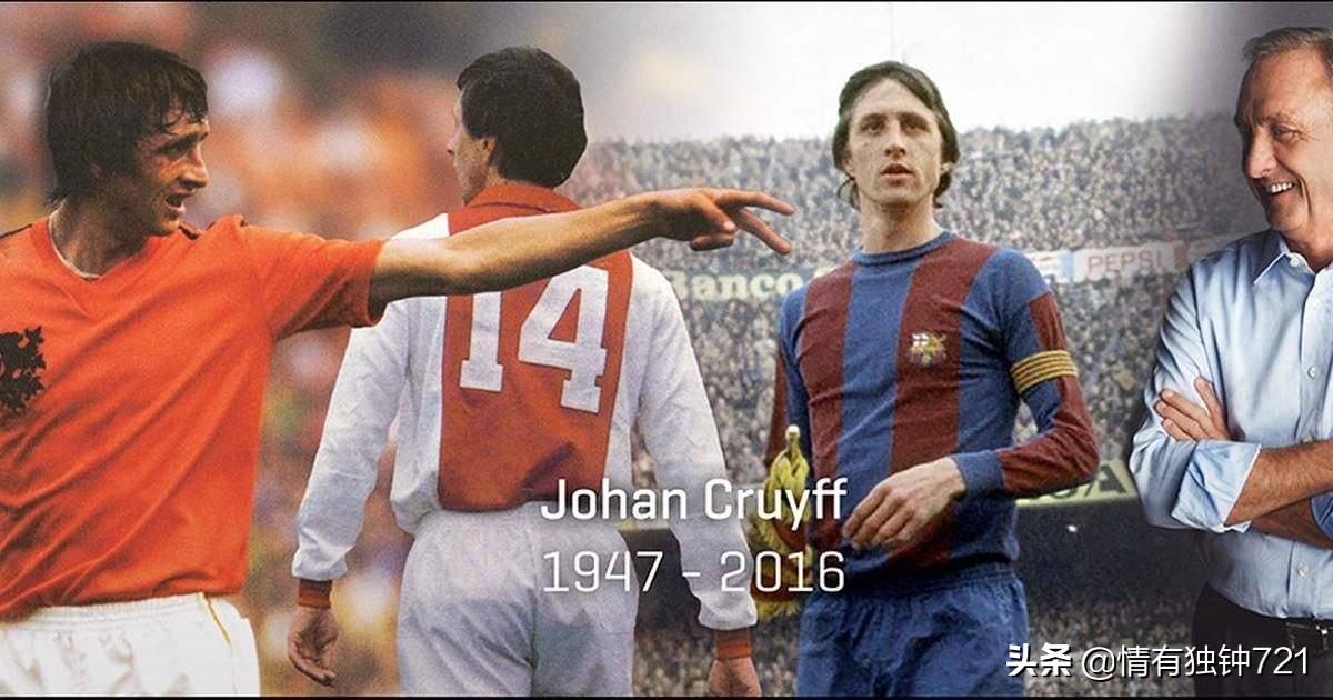 郁金香将再次绽放荷兰,郁金香还会再开花吗