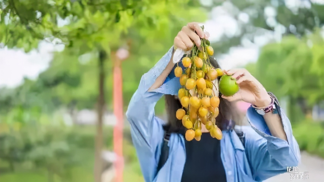 来自花东地胆小编亲测,哩滴店某得你唔食