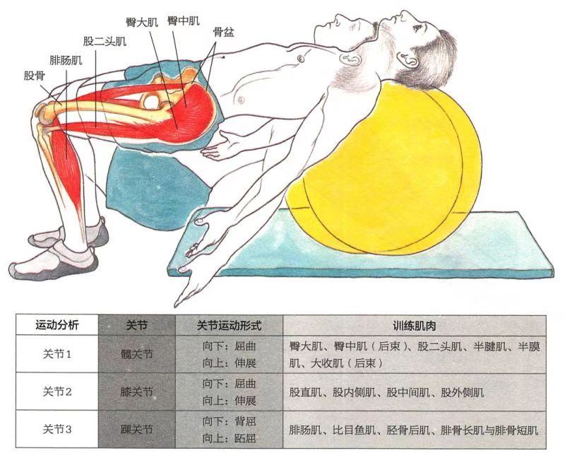 怎样知道大腿拉伤,怎能知道大腿前侧肌肉拉伤