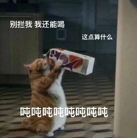 立秋都来了，可夏天的它们好难戒掉……