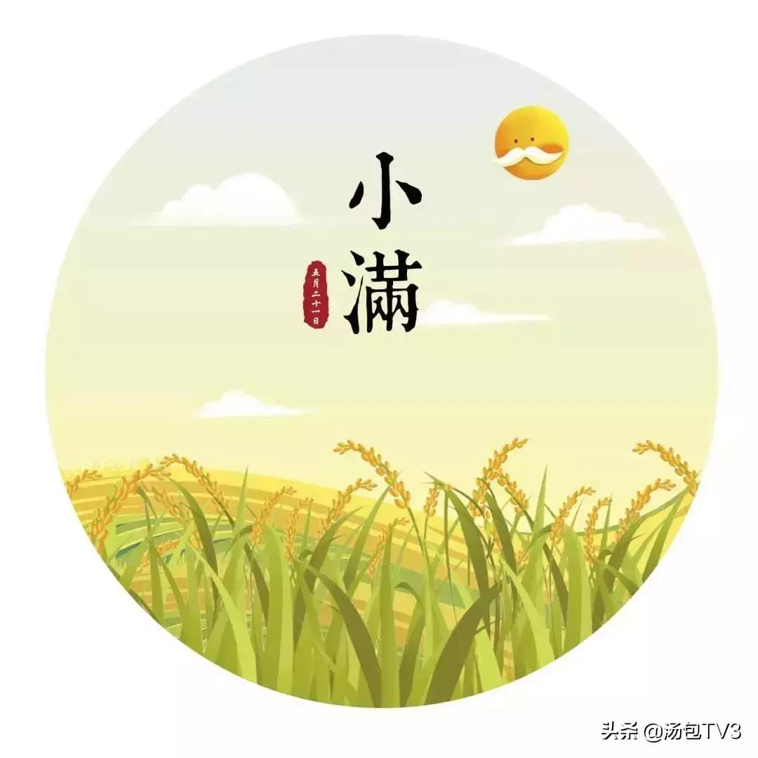 祛湿灵芝龟苓膏,龟苓膏祛湿气