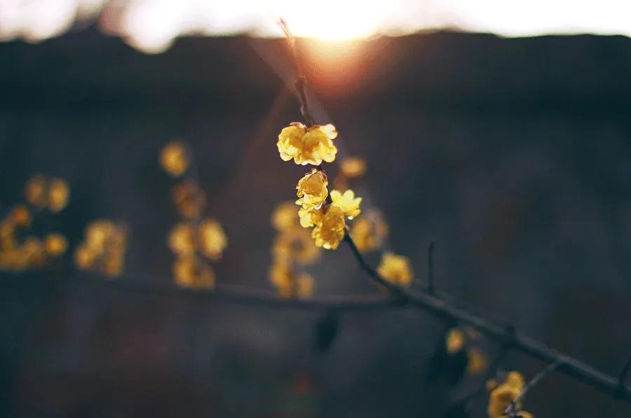 吃腰子对肾好吗,肾不好可以吃腰子吗