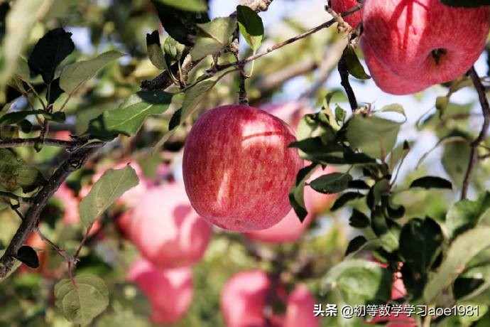 物不知数问题,物不知数问题解法