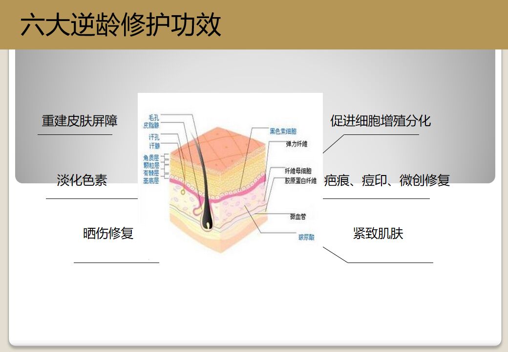 多肽水润蚕丝修护面膜,童颜美肌补水面膜