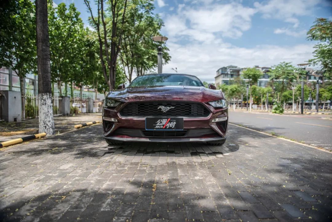 野马2.3t被叫野驴,野马2.3t小野驴