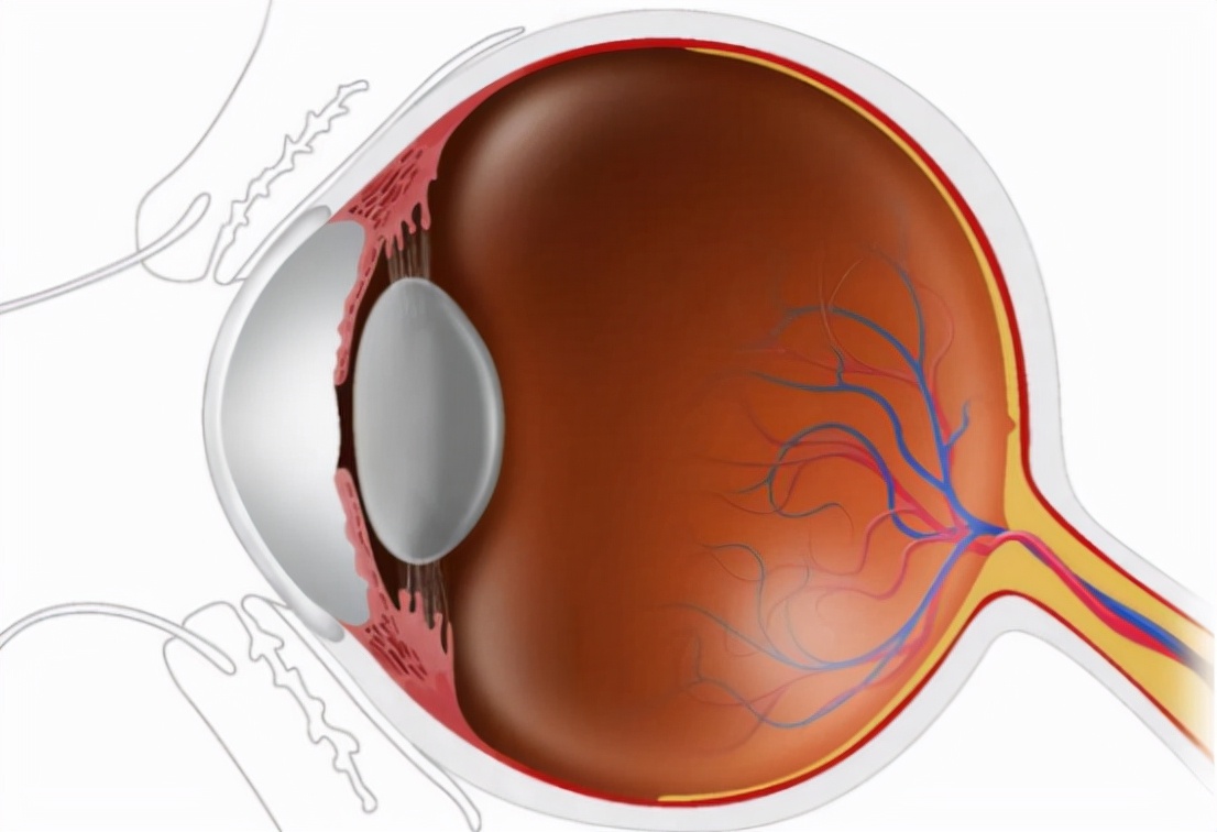 眼睛疼前面有黑点出现,眼睛前面总有黑点在飘是什么原因