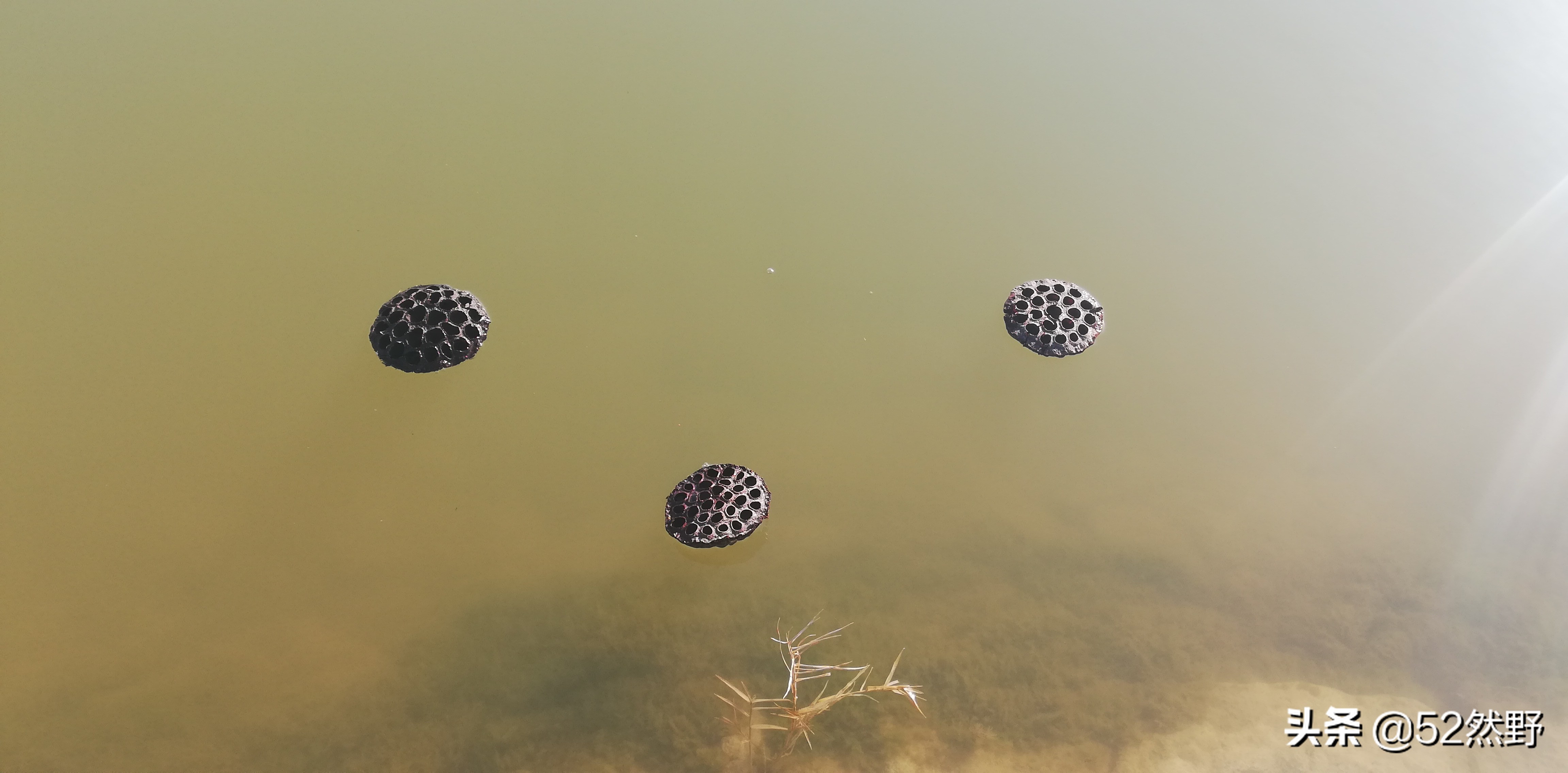 桑干河原唱完整版,桑干河诗句