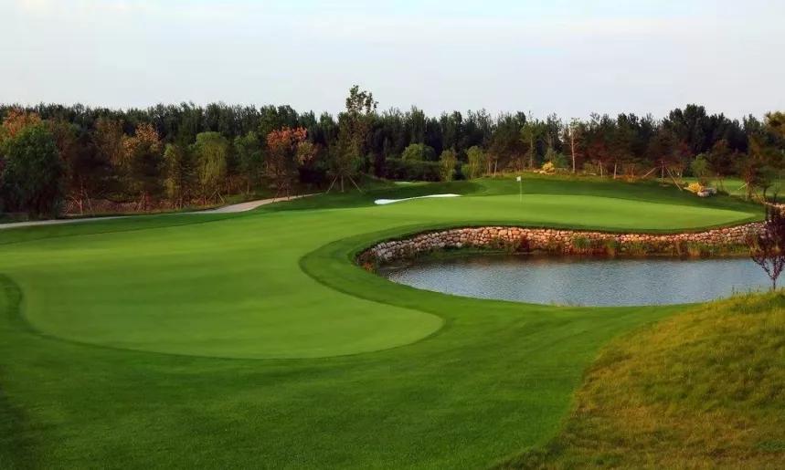 廊坊市最富的十个县排名,2023中国最具幸福感城市河北