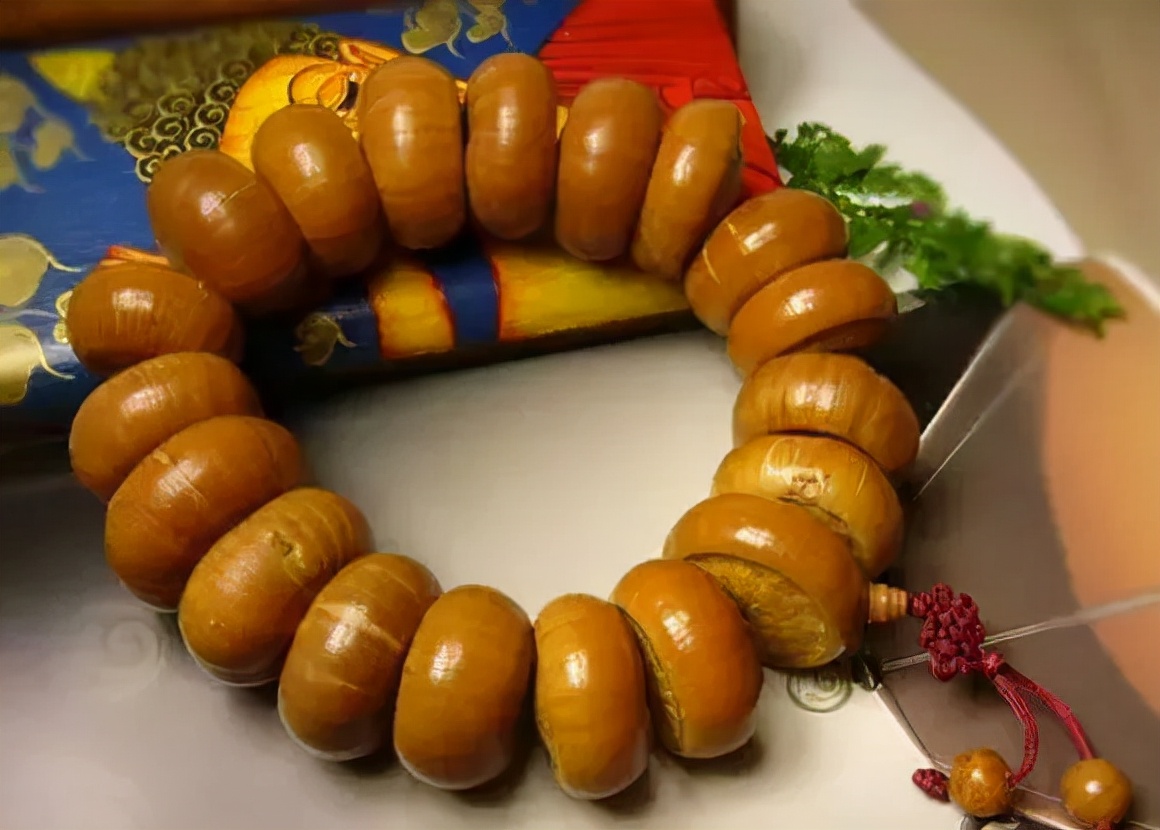 冷门菩提图片大全,比较少见的菩提