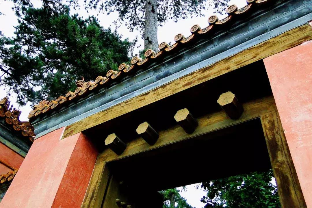 明十三陵康陵历史厚重感,探访明十三陵未开放的陵墓