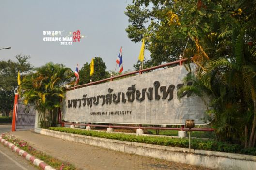 娓呰繄涓涙灄鎺㈤櫓鐩樼偣,娓呰繄鍧氭灉