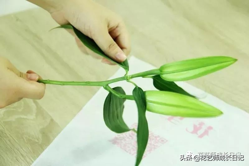 开花店花材损耗,花店新到花材如何打理