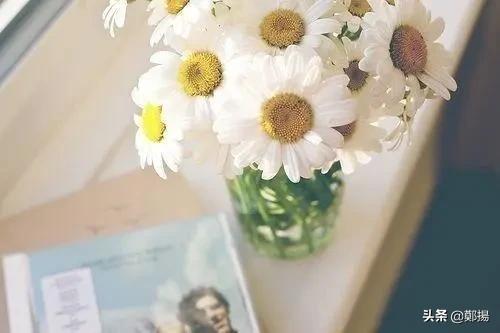 适合发朋友圈感悟情感短句子说说,励志情感语录句句唯美文艺