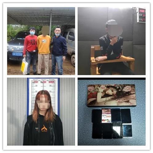 重庆网上卖鸡苗骗局,重庆不打工小伙