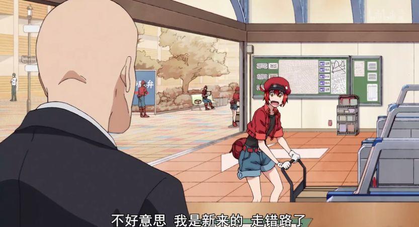 9.2分，半年后这么萌的片终于回来了