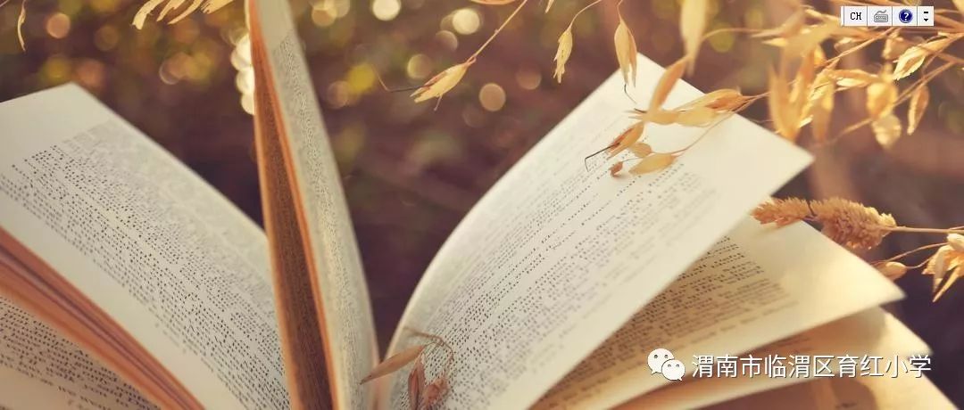 于永正老师的《教海漫记》读后感,于永正《教海漫记》的内容简介