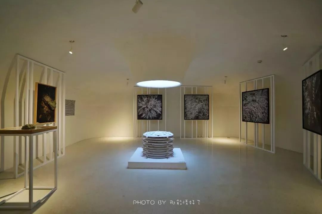 北戴河阿那亚属于哪个镇,北戴河阿那亚值得去吗