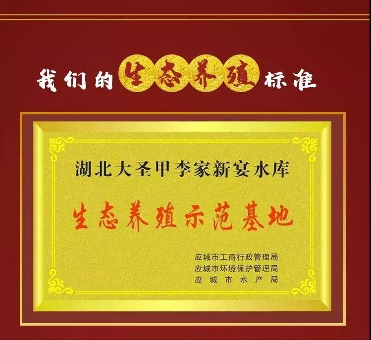 天寒宜滋补养生并不贵品大圣甲鱼口齿满留香