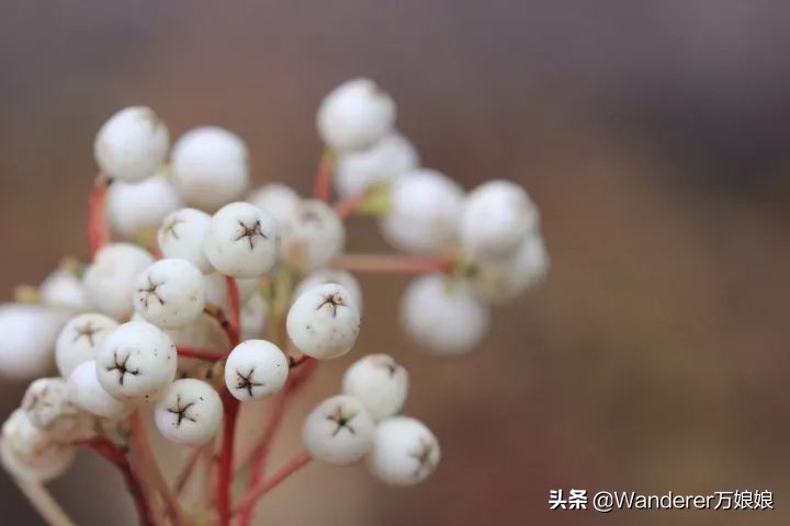小学1-4年级英语语法完整版,新人教版3-6年级英语语法汇总
