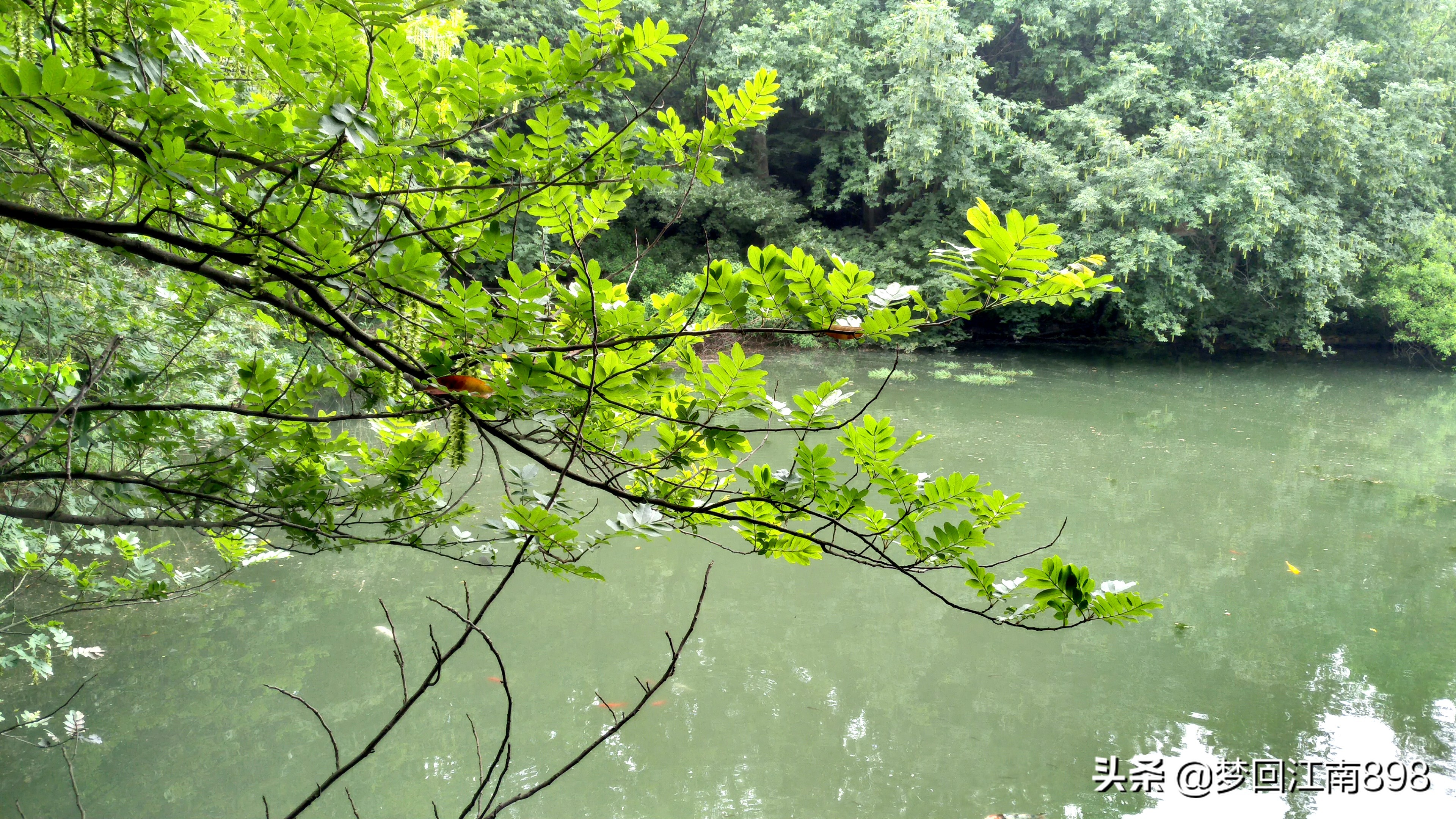 苏州天池山鱼骨线徒步路线图,苏州灵白线徒步需要门票吗