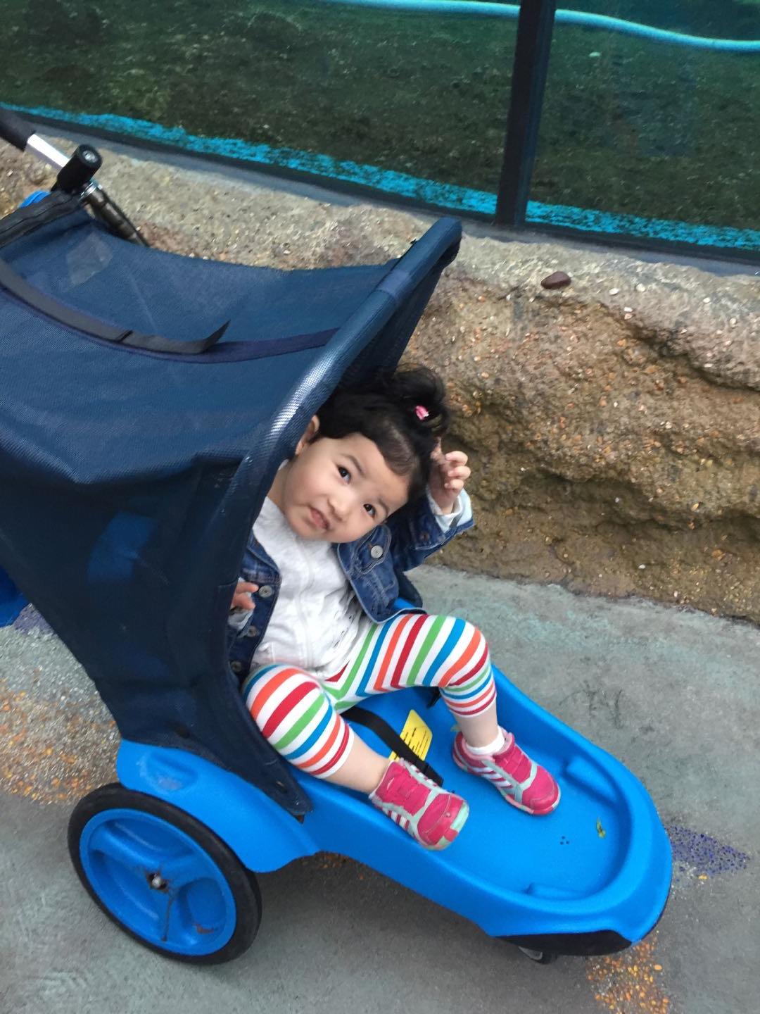 珠海长隆海洋王国附近美食,珠海长隆海洋王国官网预约