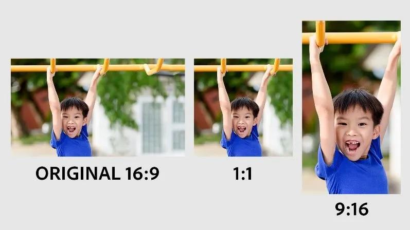 adobephotoshopelements2024使用教程,photoshopelements2022