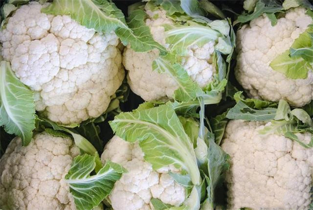 花椰菜种植技术大全,花椰菜种植时间和注意事项