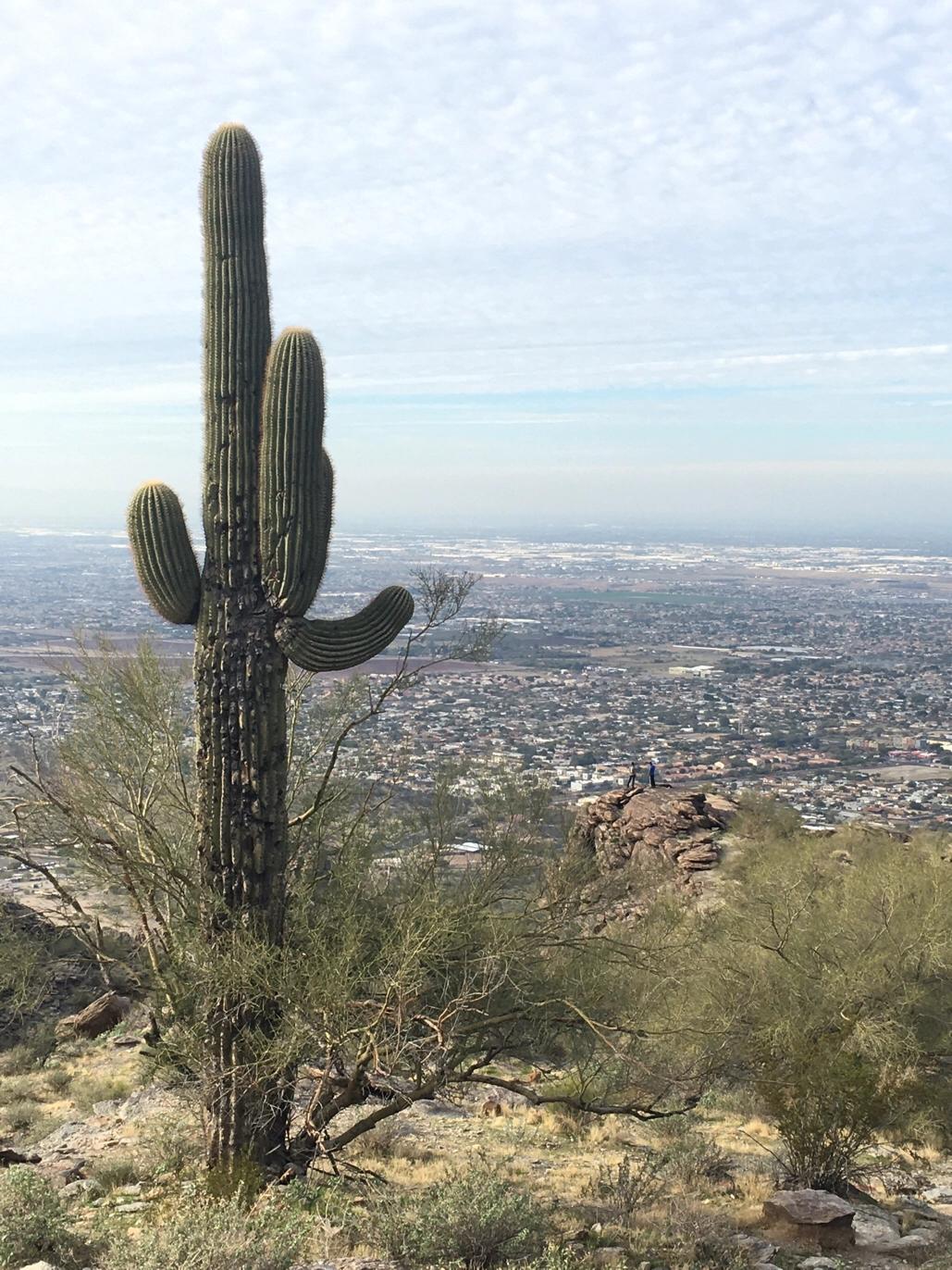 P13川人徐娘之旅美日记系列