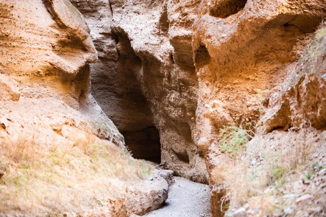 12个理由告诉你，为什么黄河石林值得一去再去