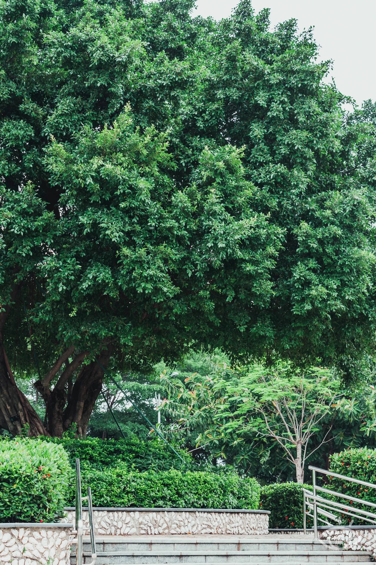 深圳值得逛的古镇,深圳有一条街全是复古的