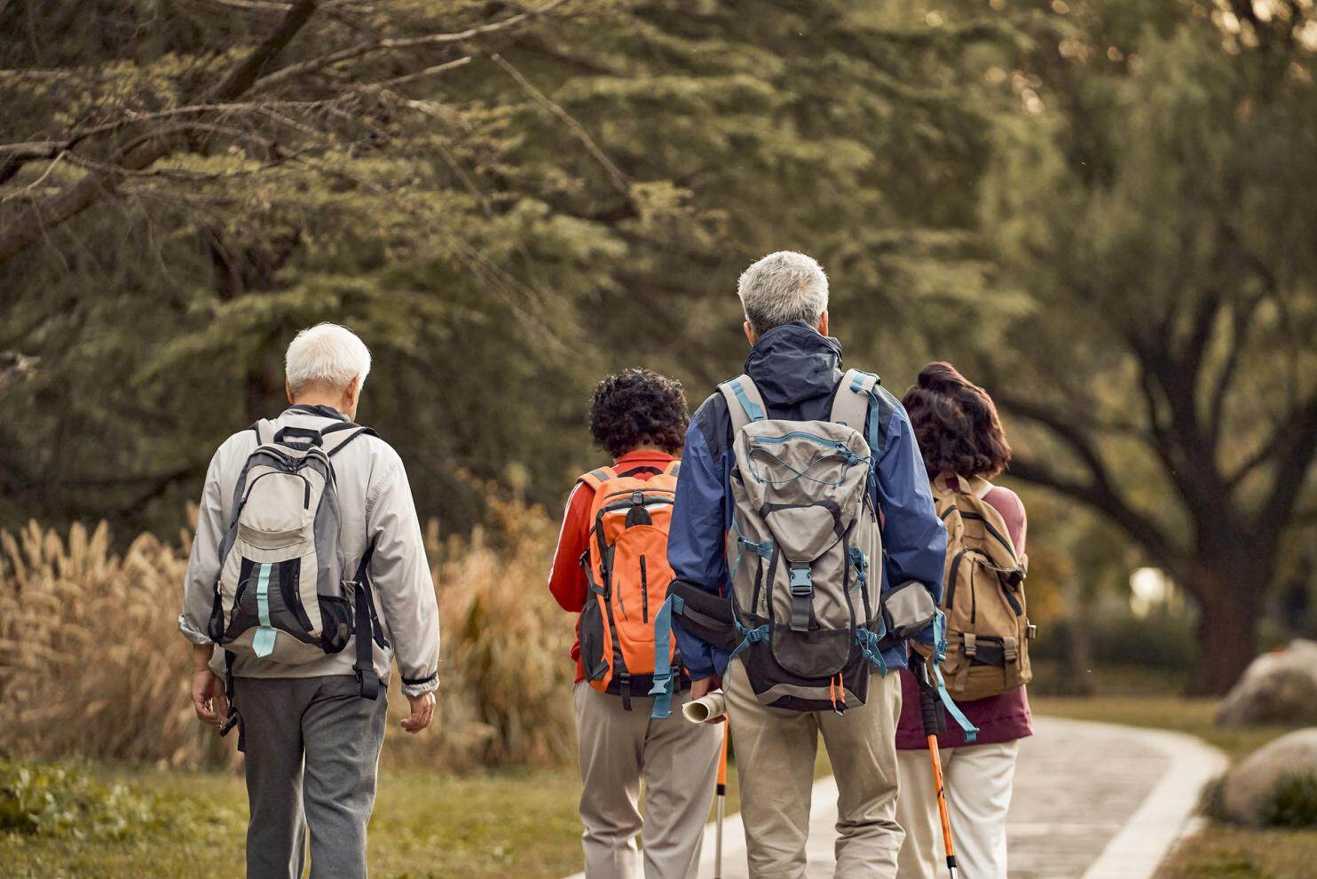 蛋*粉白**哪种好？关爱父母健康，助力幸福退休生活