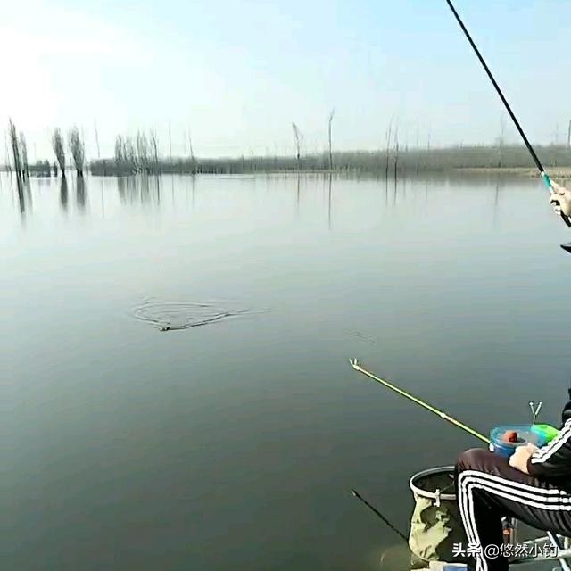 新手如何快速调漂精准找底,所有调漂找底正确方法与技巧