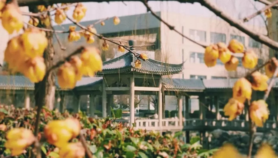 重磅!教育部最新通知:长安大学新增5个本科专业!