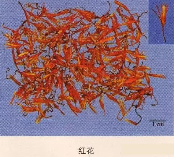 中药材图片大全大图带药名,200多味中药材图谱带图