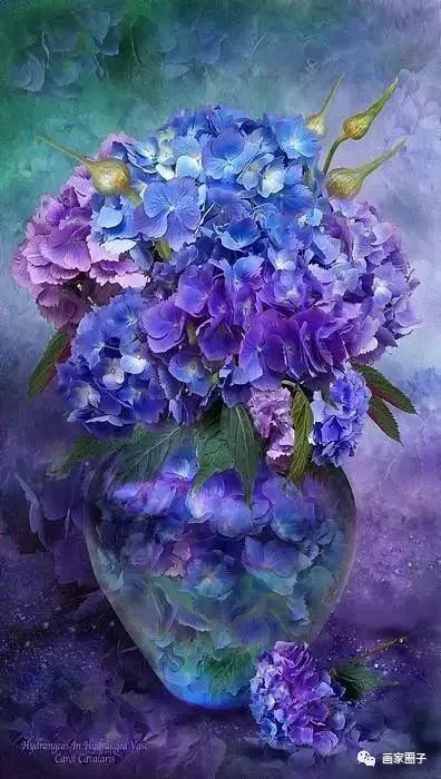 100种漂亮花卉图片,100张漂亮花图