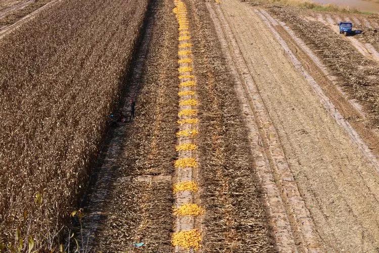 庆阳历史有多久,庆阳历史悠久的古城