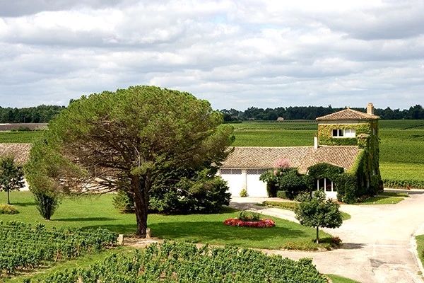 拉菲集团ip,拉菲集团是做什么的