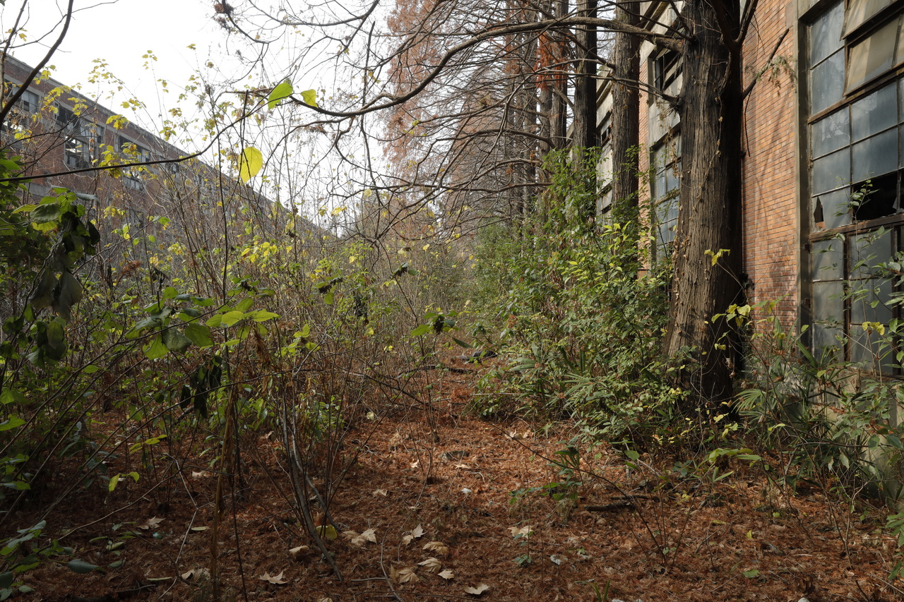 武汉轻型汽车制造厂,武汉特种车制造厂