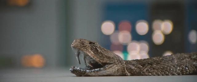 1973好莱坞电影,1973年电影西部世界