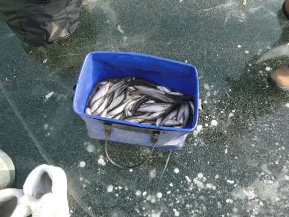 冬季冰钓钓深还是钓浅,冬季冰钓如何找鱼窝