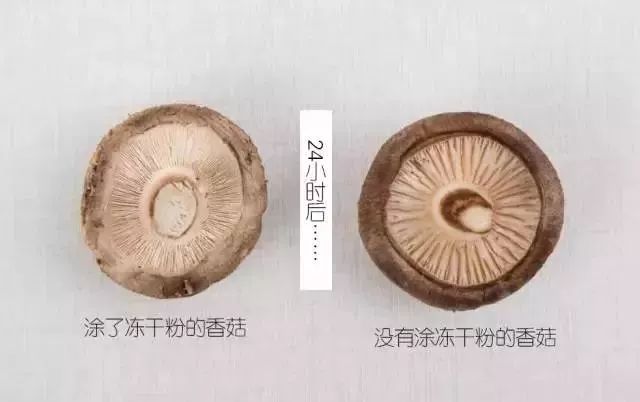 干粉冷冻,冷冻干粉的作用和功效