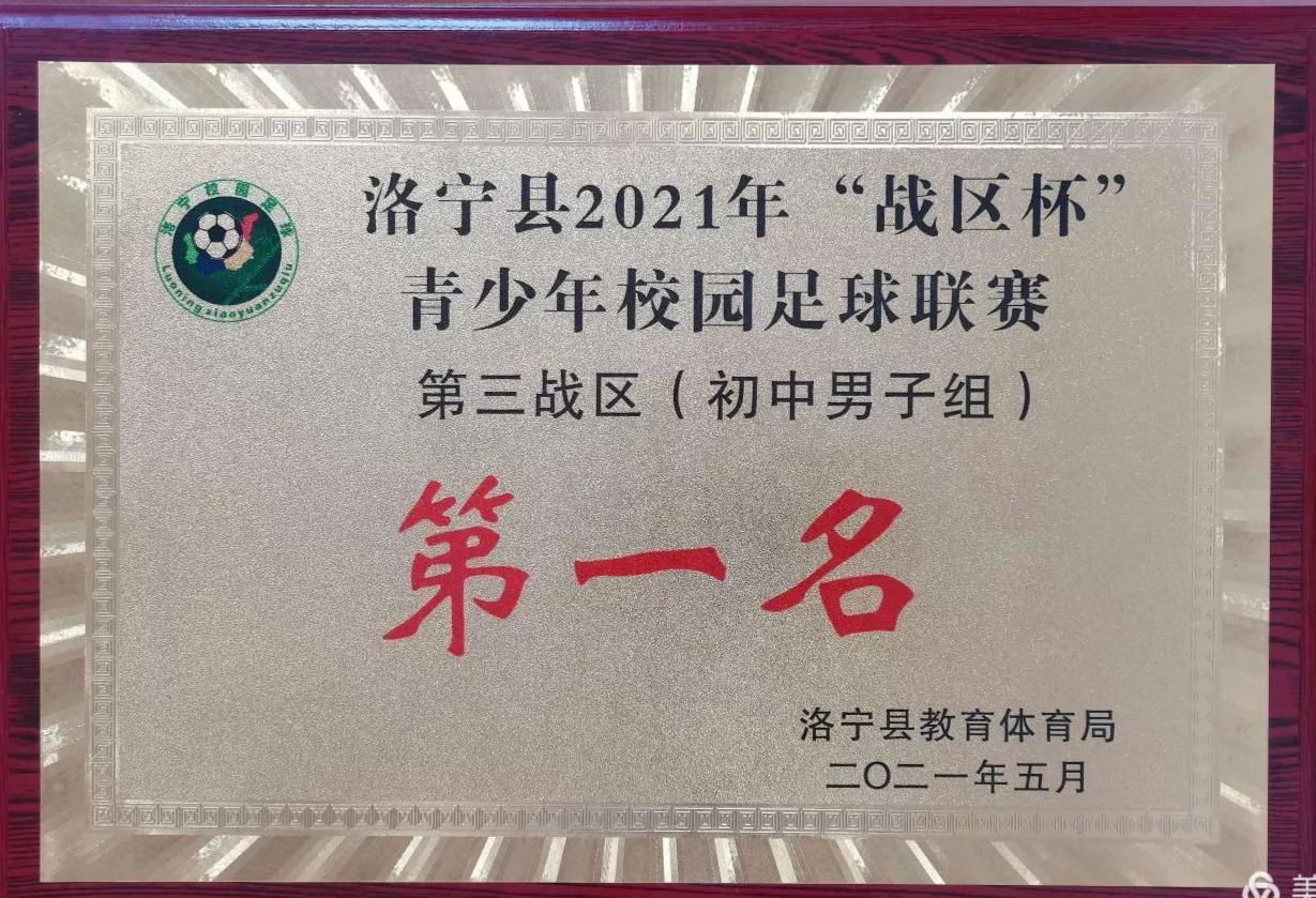 洛宁县罗岭乡初级中学足球比赛,足球联赛洛宁青少年