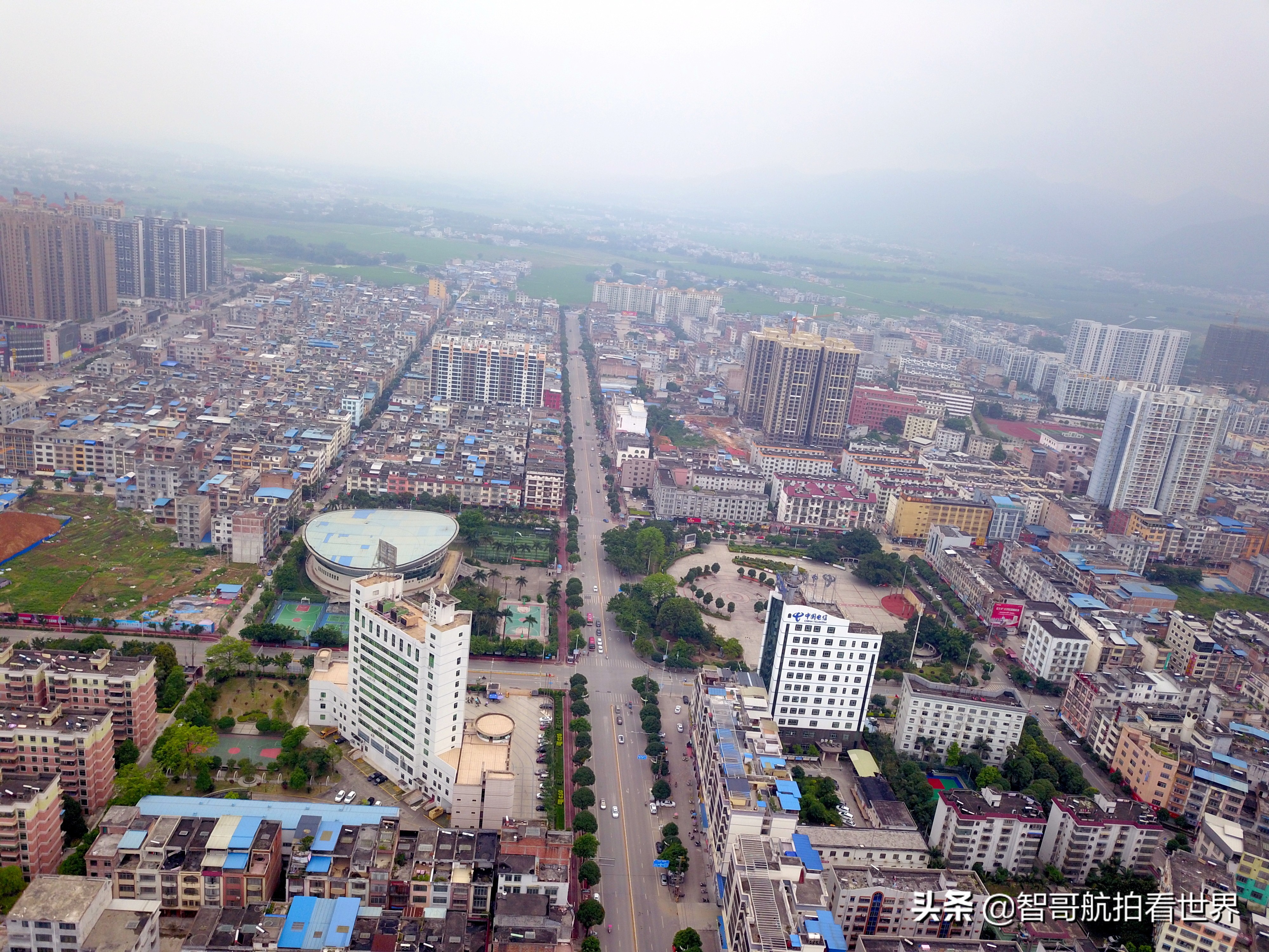 广西宾阳炮龙乡视频,宾阳炮龙之乡新闻