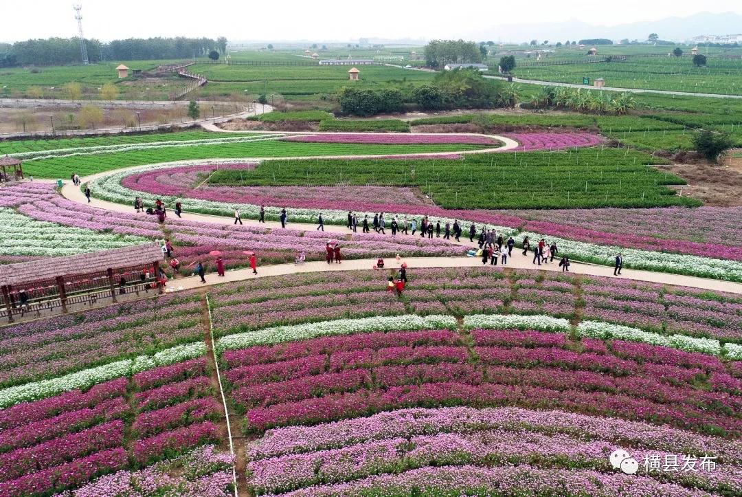 从象州到横县多少公里,由县城到市区的行程数据查得到吗
