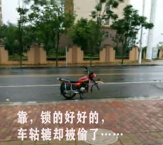 厕所拉屎被人把手机抢走了!你会怎么做?