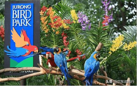 寒假亲子游最佳攻略,寒假国内亲子游攻略