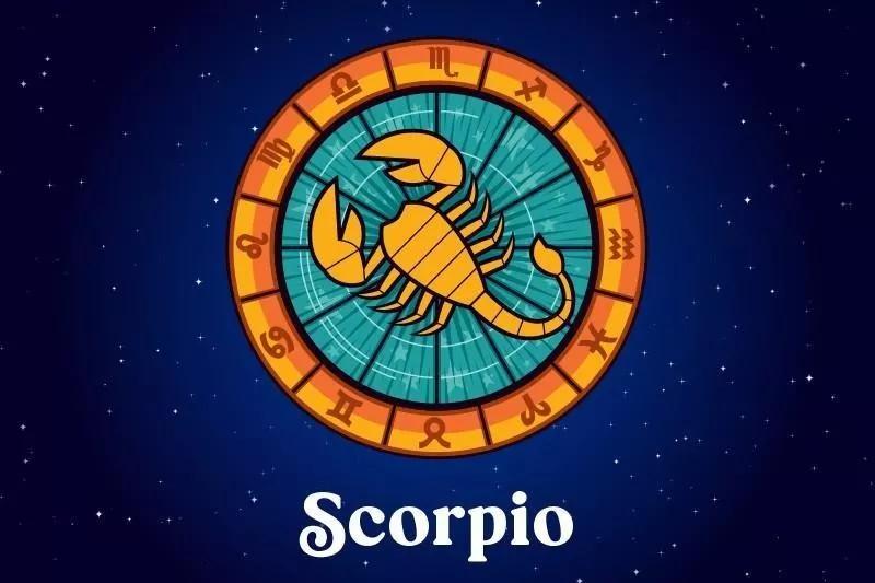 十二星座运势野兽,如何知道自己星座最适合的动物