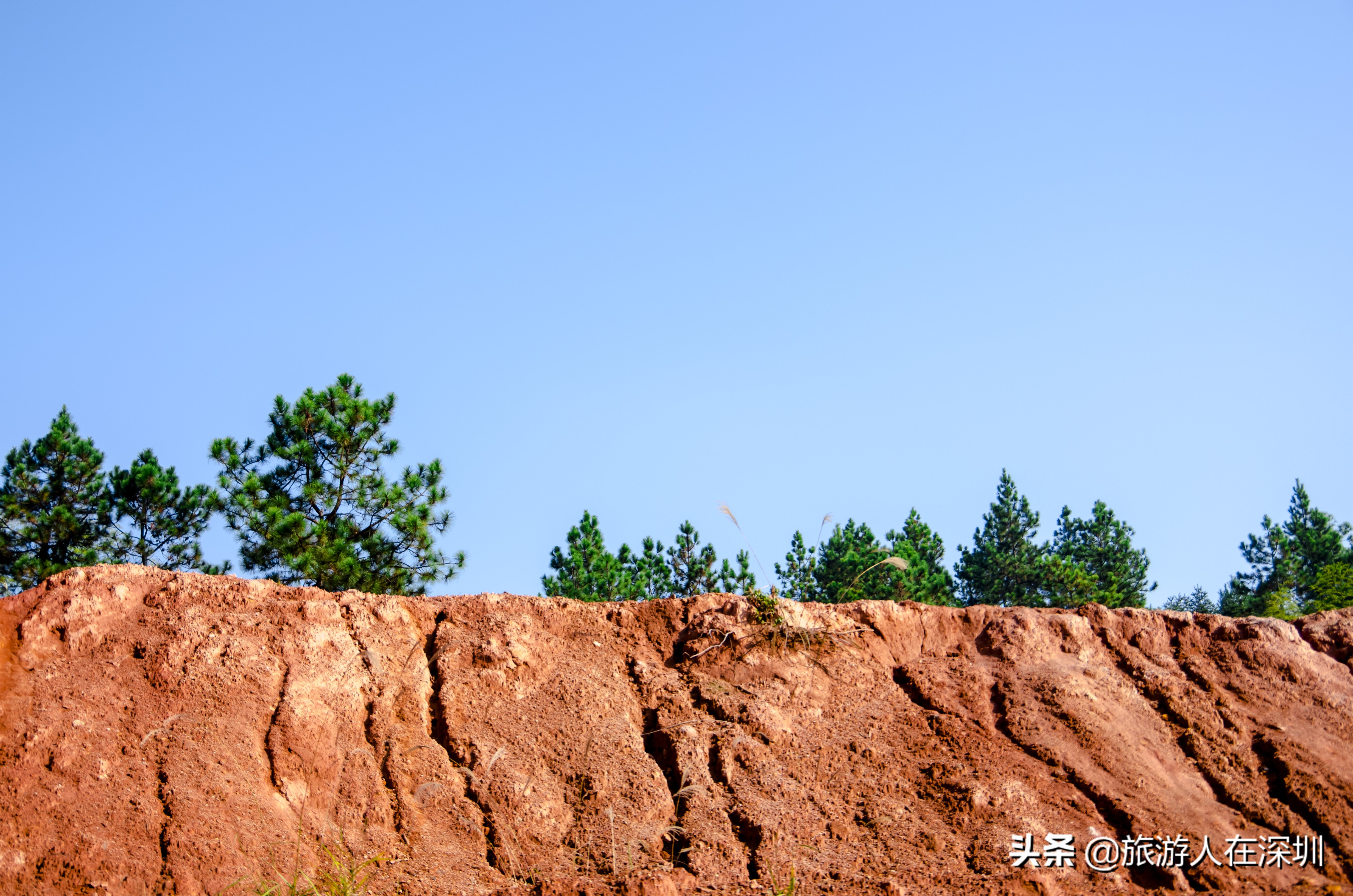 南雄看银杏一日游,去南雄看银杏叶哪里好看点