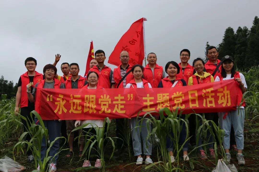 我为群众办实事法院篇,我为群众办实事工作计划法院篇